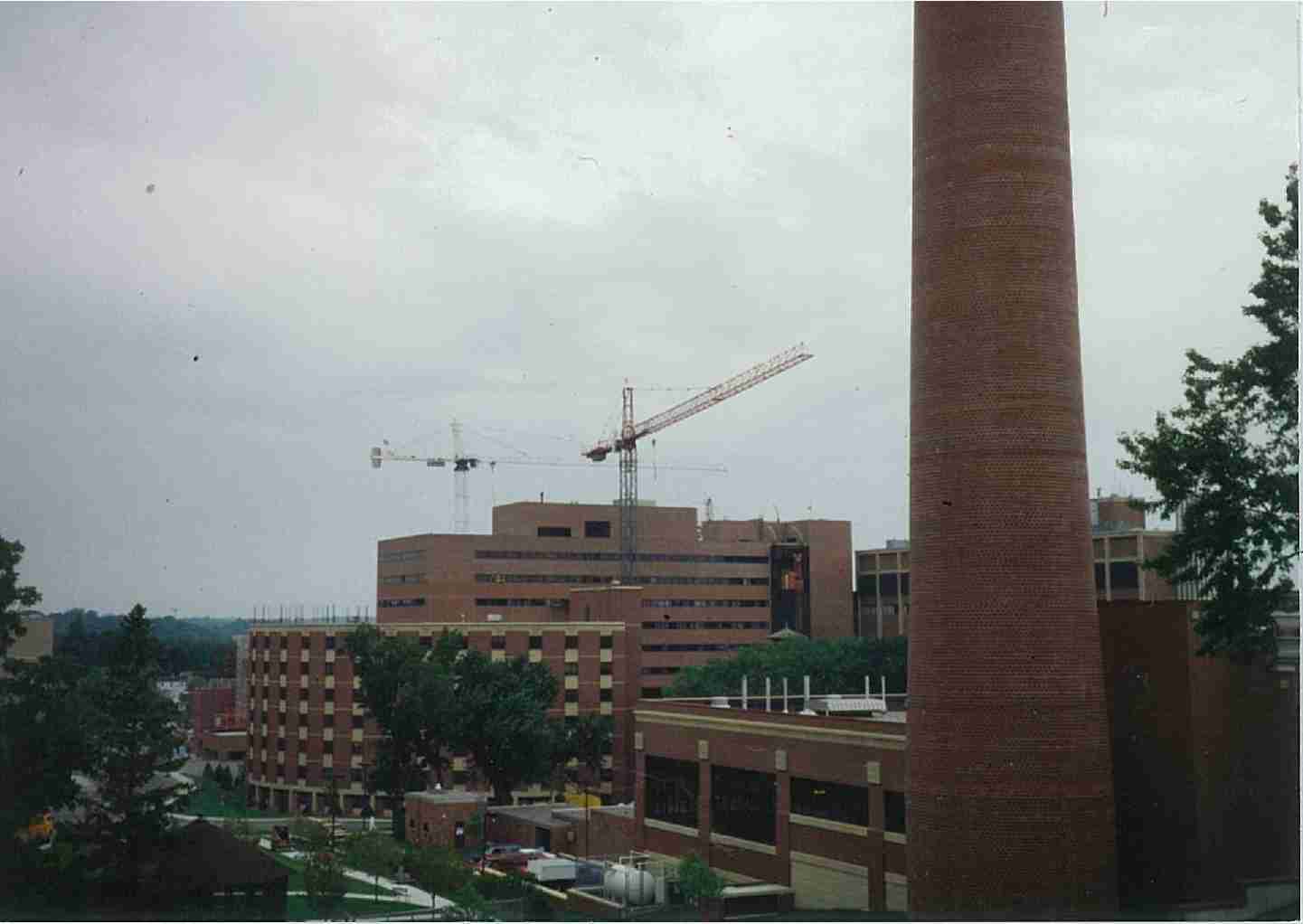 Mayo Clinic (3)