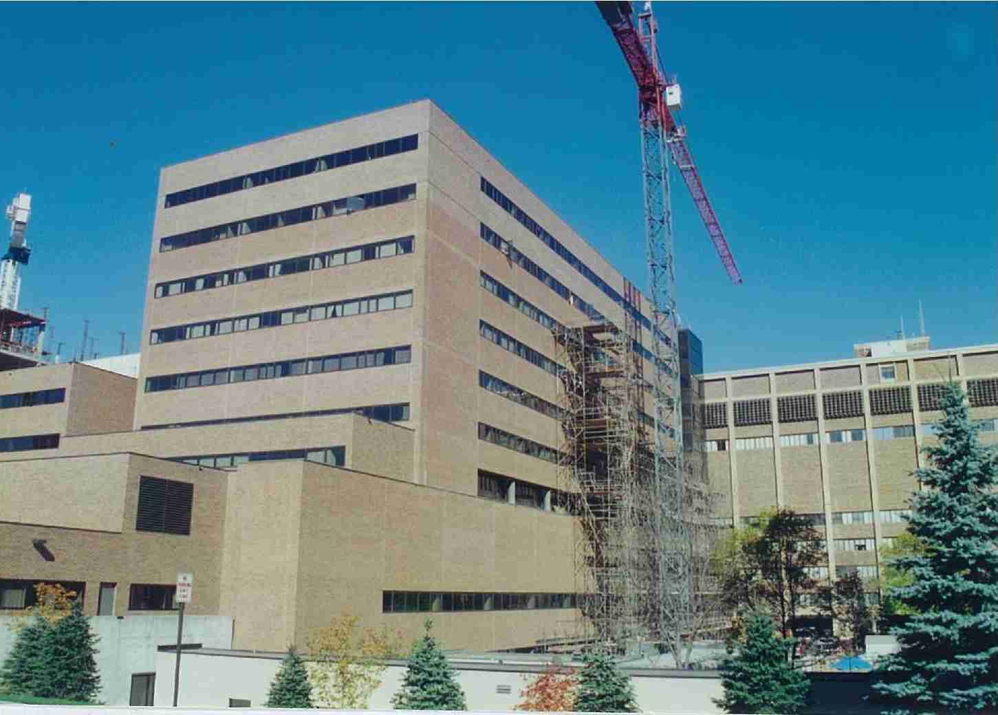 Mayo Clinic